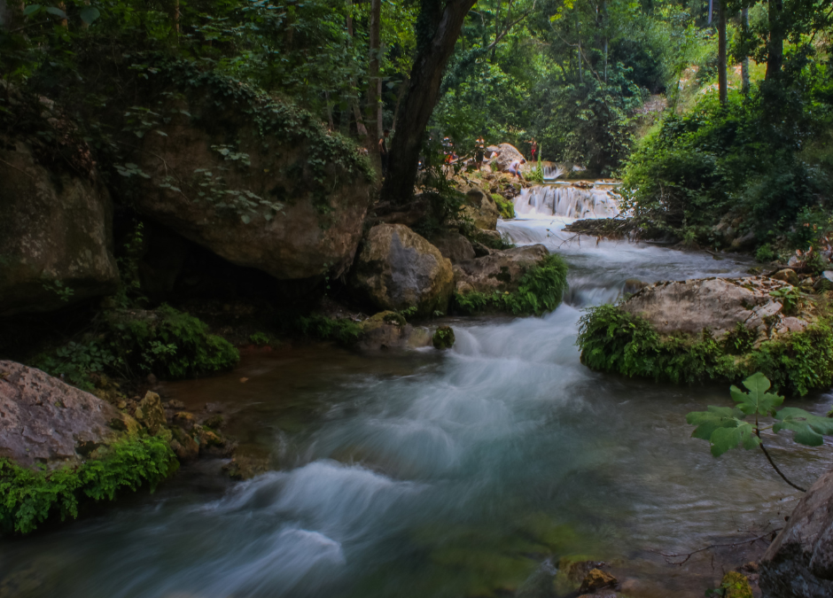 The Importance of Tashlikh during Rosh Hashanah